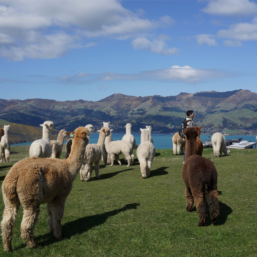 小程序,企業(yè)移動(dòng)辦公,OA,網(wǎng)站建設(shè),連云港網(wǎng)站,連云港網(wǎng)站開(kāi)發(fā)，系統(tǒng)開(kāi)發(fā)，微信開(kāi)發(fā)，微信公眾號(hào)，微信企業(yè)號(hào)，微信訂閱號(hào)，微信服務(wù)號(hào)開(kāi)發(fā),微教育